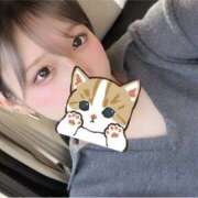 ヒメ日記 2026/10/15 17:06 投稿 つばさ DERI NAVIGATION