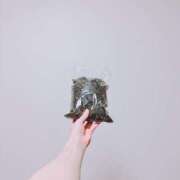 ヒメ日記 2025/02/21 13:48 投稿 えみ 花夫人