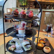 ヒメ日記 2024/12/15 15:35 投稿 のあ キュンキュン