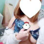 ヒメ日記 2024/12/19 07:03 投稿 はな 若葉