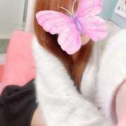 ヒメ日記 2024/12/19 09:58 投稿 はな 若葉