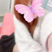 ヒメ日記 2024/12/19 10:15 投稿 はな 若葉