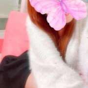 ヒメ日記 2024/12/26 12:17 投稿 はな 若葉