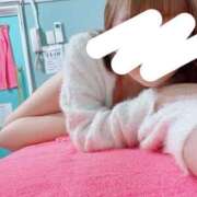 ヒメ日記 2025/01/19 07:15 投稿 はな 若葉