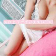 ヒメ日記 2025/10/15 06:14 投稿 はな 若葉