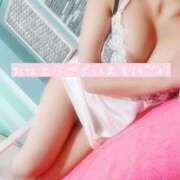 ヒメ日記 2025/10/15 06:38 投稿 はな 若葉