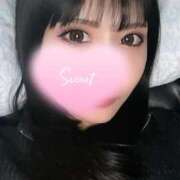 ヒメ日記 2025/03/01 00:04 投稿 橋本　あいる つくば風俗エキスプレス   ヌキ坂46