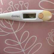 ヒメ日記 2025/03/17 15:26 投稿 橋本　あいる つくば風俗エキスプレス   ヌキ坂46