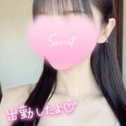 ヒメ日記 2025/04/20 15:15 投稿 橋本　あいる つくば風俗エキスプレス   ヌキ坂46