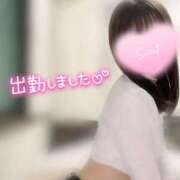 ヒメ日記 2025/05/13 15:18 投稿 橋本　あいる つくば風俗エキスプレス   ヌキ坂46