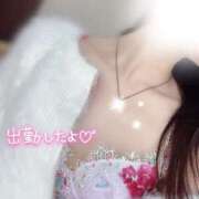 ヒメ日記 2025/05/14 15:14 投稿 橋本　あいる つくば風俗エキスプレス   ヌキ坂46