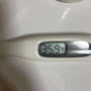 ヒメ日記 2025/11/25 15:25 投稿 橋本　あいる つくば風俗エキスプレス   ヌキ坂46