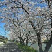 ヒメ日記 2025/04/02 00:02 投稿 るり 吉野ケ里人妻デリヘル 「デリ夫人」