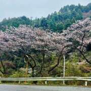 ヒメ日記 2026/03/26 18:15 投稿 るり 吉野ケ里人妻デリヘル 「デリ夫人」