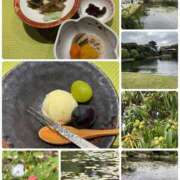 ヒメ日記 2025/10/10 15:01 投稿 野波 真帆 熟女・人妻マダム宮殿