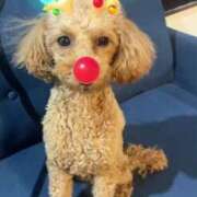 ヒメ日記 2024/12/25 15:15 投稿 ちなみ 熟女家 ミナミエリア店