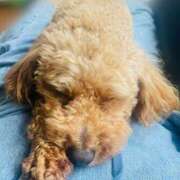 ヒメ日記 2025/05/06 17:25 投稿 ちなみ 熟女家 ミナミエリア店