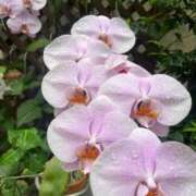 ヒメ日記 2025/05/31 19:27 投稿 ちなみ 熟女家 ミナミエリア店