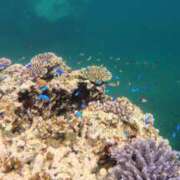 ヒメ日記 2025/07/03 23:25 投稿 ちなみ 熟女家 ミナミエリア店