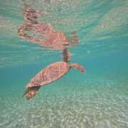 ヒメ日記 2025/09/01 21:06 投稿 ちなみ 熟女家 ミナミエリア店