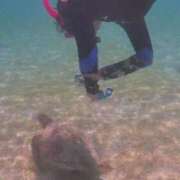 ヒメ日記 2025/09/04 13:55 投稿 ちなみ 熟女家 ミナミエリア店