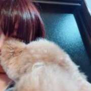 ヒメ日記 2025/11/27 08:25 投稿 ちなみ 熟女家 ミナミエリア店