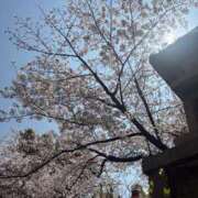 ヒメ日記 2026/04/03 18:05 投稿 ちなみ 熟女家 ミナミエリア店