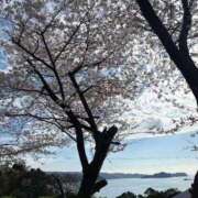 ヒメ日記 2026/04/06 09:45 投稿 ちなみ 熟女家 ミナミエリア店