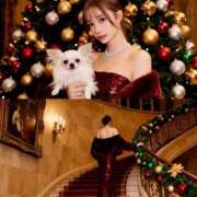 かいり 年末 ルピナス