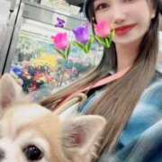 ヒメ日記 2026/02/04 23:05 投稿 かいり ルピナス