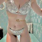 ヒメ日記 2024/12/14 19:53 投稿 うらん SOPHIA（ソフィア）