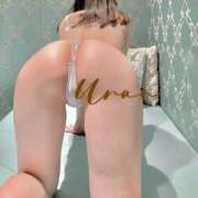 ヒメ日記 2025/01/20 20:43 投稿 うらん SOPHIA（ソフィア）