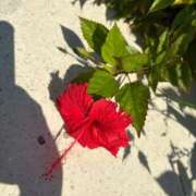 ヒメ日記 2025/11/24 19:42 投稿 神代　ゆあり プルプル京都性感エステ　はんなり