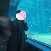 ヒメ日記 2026/01/15 20:10 投稿 神代　ゆあり プルプル京都性感エステ　はんなり