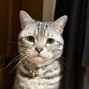 ヒメ日記 2025/03/06 21:31 投稿 みお コートダジュール