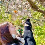 ヒメ日記 2025/03/13 12:17 投稿 みお コートダジュール