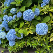 ヒメ日記 2025/06/02 16:52 投稿 れむ ハピネス福岡