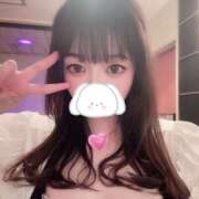 ヒメ日記 2024/12/22 11:43 投稿 ななせ 激安ソープの殿堂　ボイン・ホーテ