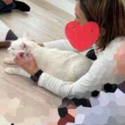 ヒメ日記 2024/12/22 10:34 投稿 いずみ 人妻倶楽部 内緒の関係 川越店