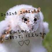 ヒメ日記 2025/05/24 18:24 投稿 いずみ 人妻倶楽部 内緒の関係 川越店