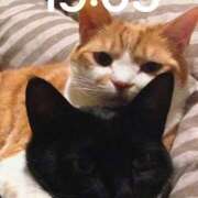 ヒメ日記 2025/06/25 17:44 投稿 いずみ 人妻倶楽部 内緒の関係 川越店