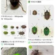 ヒメ日記 2025/10/10 10:14 投稿 いずみ 人妻倶楽部 内緒の関係 川越店