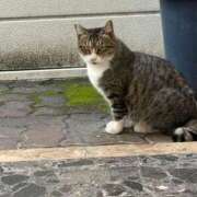 ヒメ日記 2025/10/17 20:34 投稿 いずみ 人妻倶楽部 内緒の関係 川越店