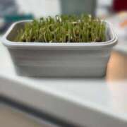 ヒメ日記 2025/11/07 18:24 投稿 いずみ 人妻倶楽部 内緒の関係 川越店