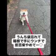 ヒメ日記 2026/08/10 05:28 投稿 いずみ 人妻倶楽部 内緒の関係 川越店