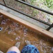 ヒメ日記 2025/05/15 11:31 投稿 イナ クラブハートDX