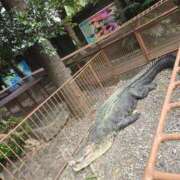 ヒメ日記 2025/05/16 11:31 投稿 イナ クラブハートDX