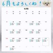 ヒメ日記 2025/05/30 00:30 投稿 イナ クラブハートDX