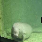 ヒメ日記 2025/06/15 12:31 投稿 イナ クラブハートDX