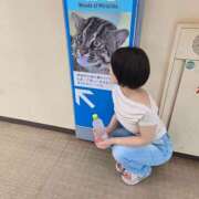 ヒメ日記 2025/06/16 12:31 投稿 イナ クラブハートDX